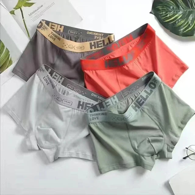 4Pcs Boxer Shorts Men's Underwear Sexy Panties Cotton Boxers