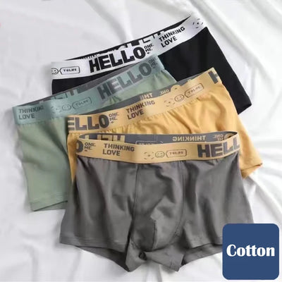 4Pcs Boxer Shorts Men's Underwear Sexy Panties Cotton Boxers